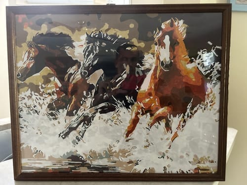 Customer photo review of Chevaux de Camargue