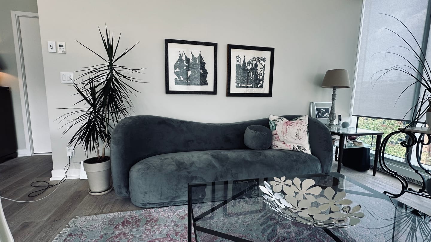 Customer photo review of Diane Form Sleeper Sofa