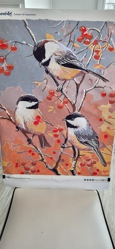 Customer photo review of Oiseaux et Arbre Fruitier