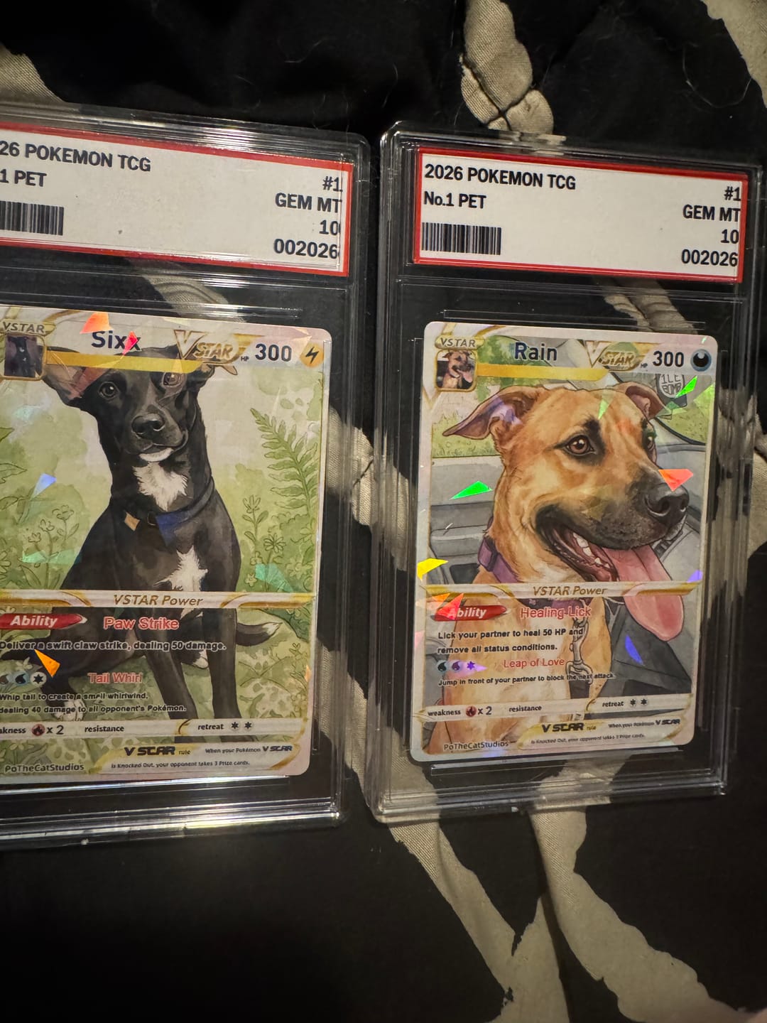 Customer photo review of Custom Anime Pet Portrait Pokemon Card, Personalized TCG VMAX & VSTAR Collectible Trading Card