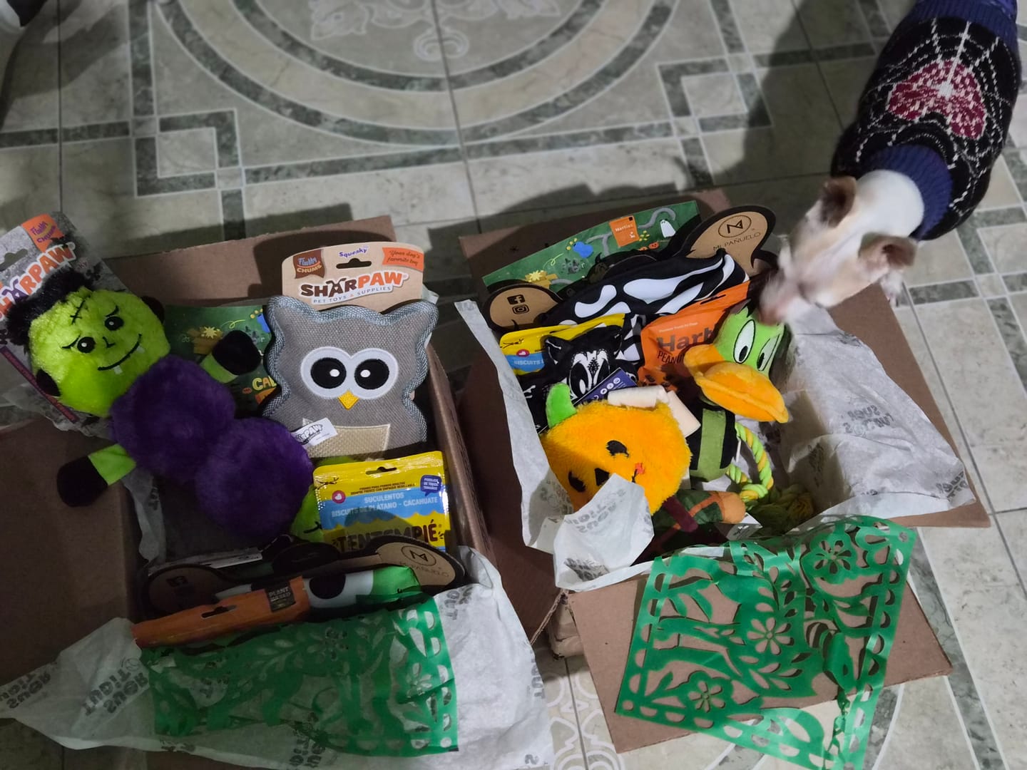 Customer photo review of Suertuditos BOX