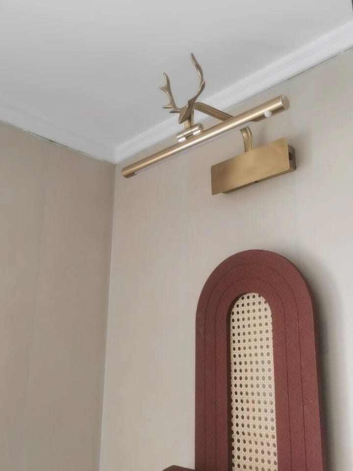 Customer photo review of Wall Sconce, Stag Horn Picture Light, Metal & Acrylic, Integrated LED