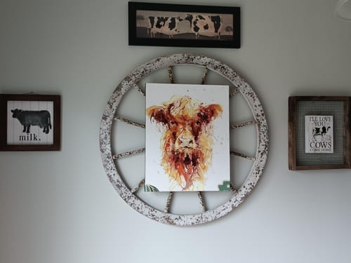 Customer photo review of Vache marron aux poils longs