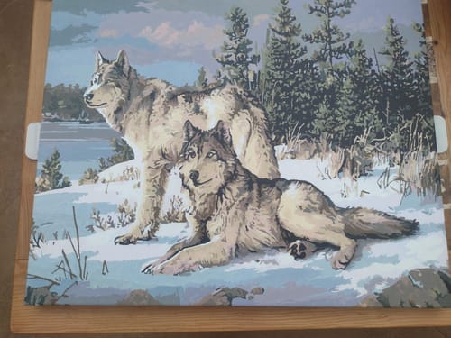 Customer photo review of Couple de Loups