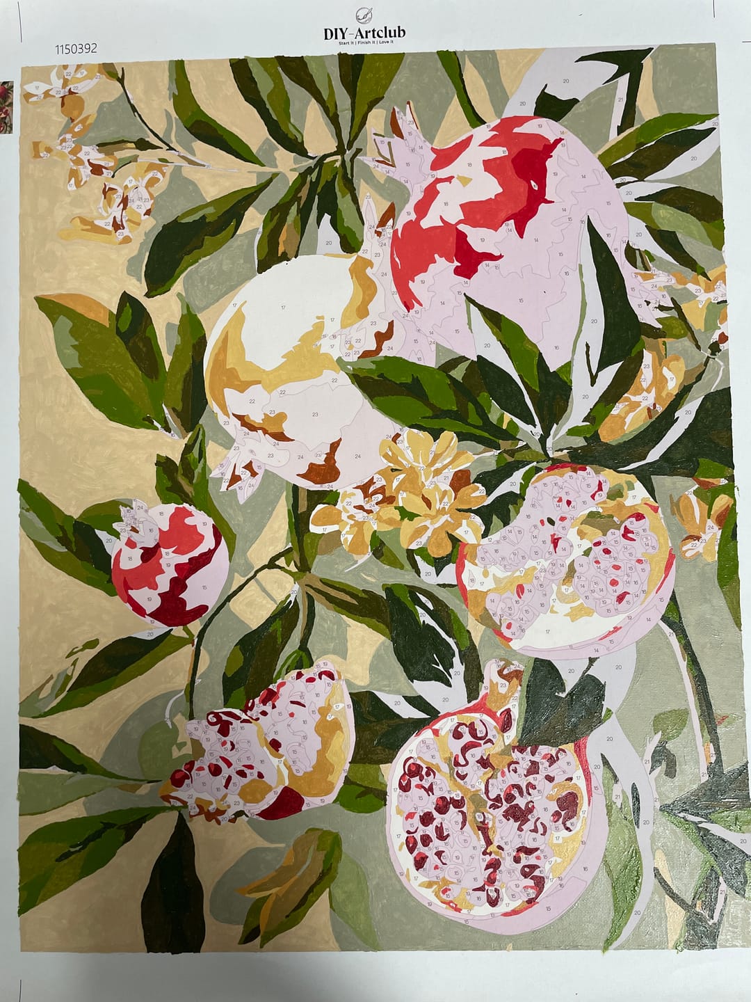 Customer photo review of Blooming pomegranates | Paint by Number