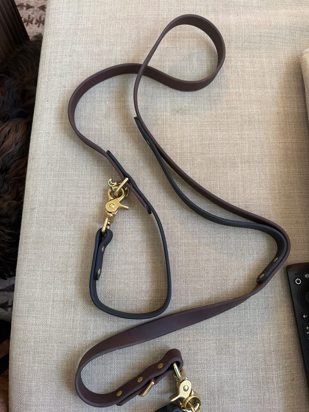 Customer photo review of Biothane Traffic Handle Dog Leash