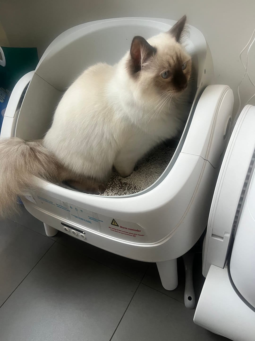 Customer photo review of Petbuds™ Open One App Monitoring Self-Cleaning Litter Box with Open Design