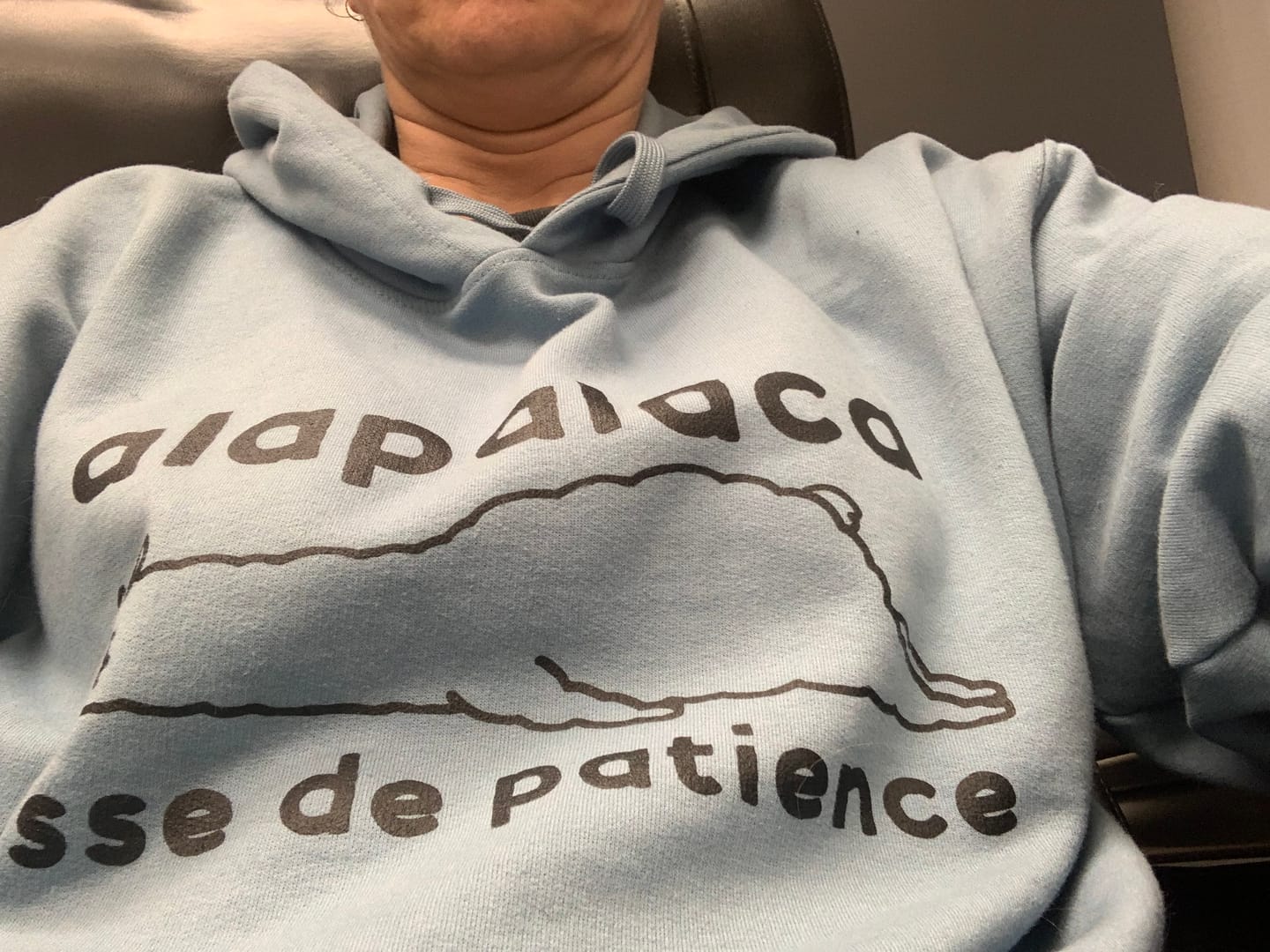Customer photo review of Hoodie Alpaca