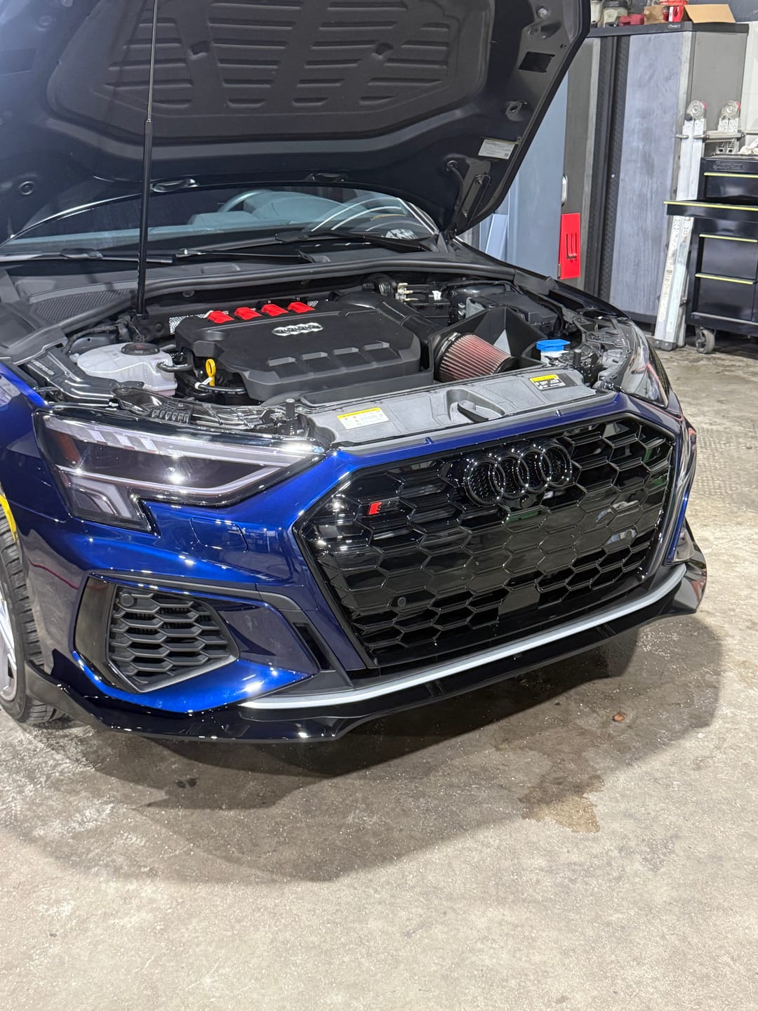 Customer photo review of RS3 Honeycomb Grille for 2021-2024 Audi A3, A3 S-Line and S3 (8Y)