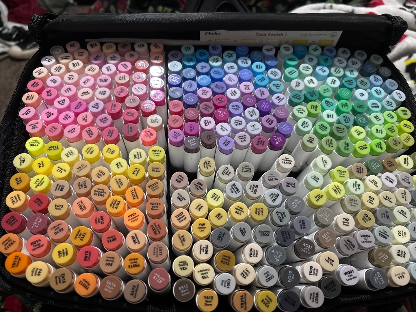 Customer photo review of Ohuhu Honolulu 320 Colors Dual Tips Alcohol Art Markers (New Color Codes)