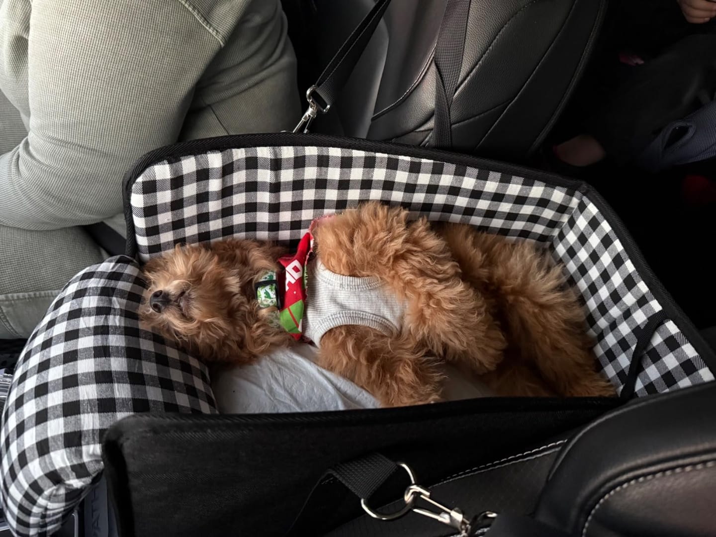 Customer photo review of Console Pet Car Seat