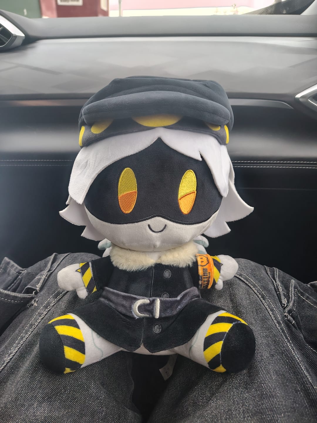 Customer photo review of N Plush