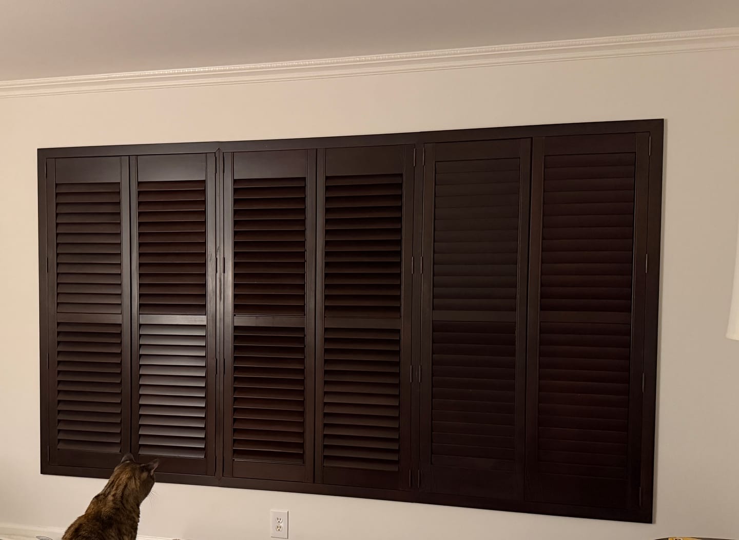 Customer photo review of Stained Wood Plantation Shutter