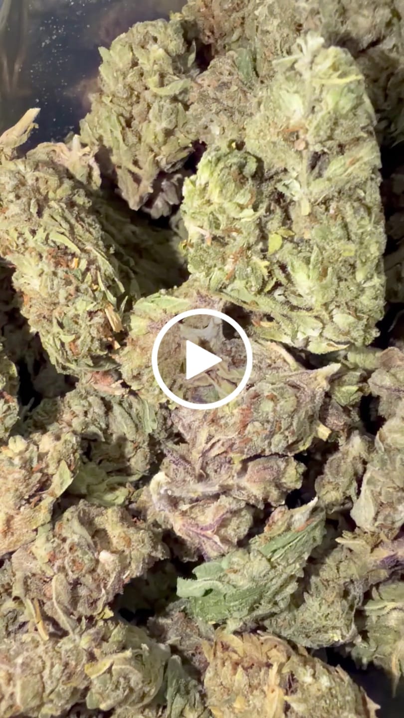 Customer video review of THCA Queen