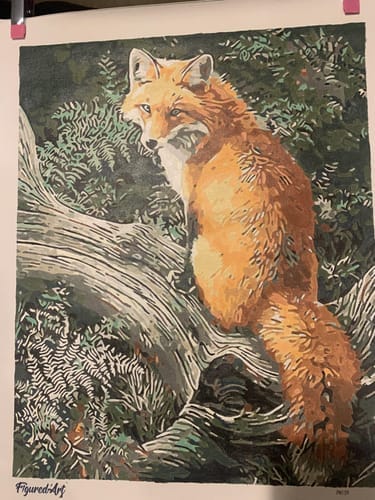 Customer photo review of Renard dans les Fougères