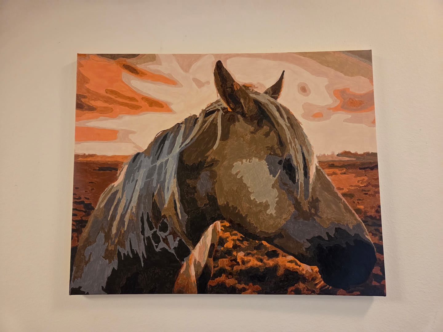 Customer photo review of Malen nach Zahlen - Pferd bei Sonnenuntergang