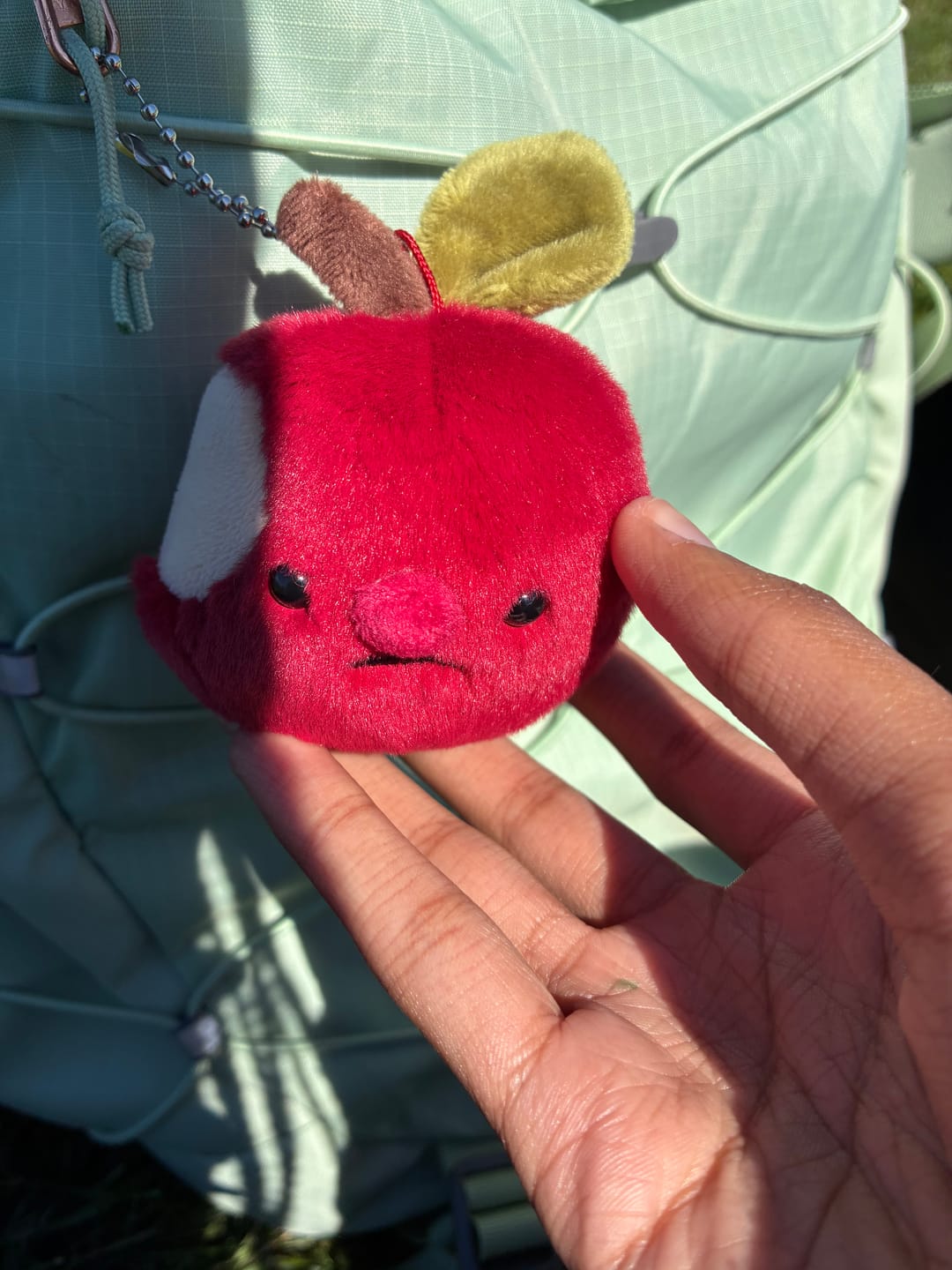 Customer photo review of Forgotten Bitten Apple