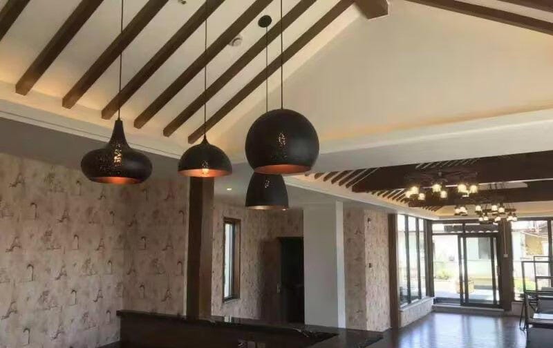 Customer photo review of Black and Gold Iron Pendant Light, Vintage Industrial Pendant Lamp