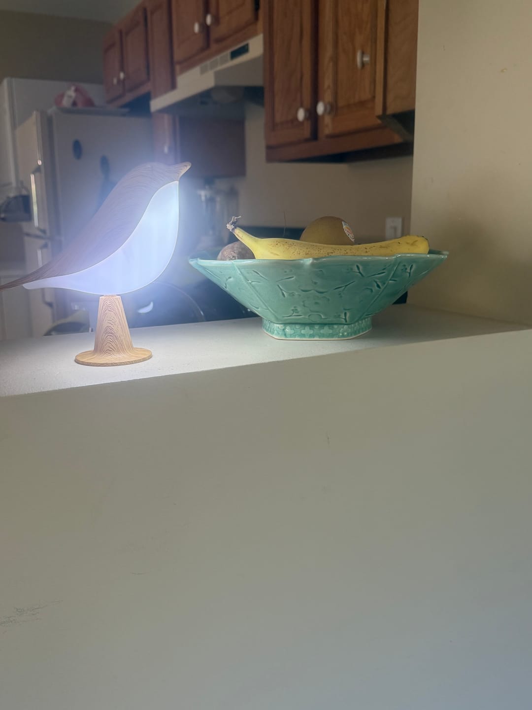 Customer photo review of Glow Bird