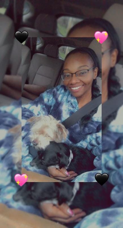 Customer photo review of PetPal Heizhoodie mit Haustiertasche
