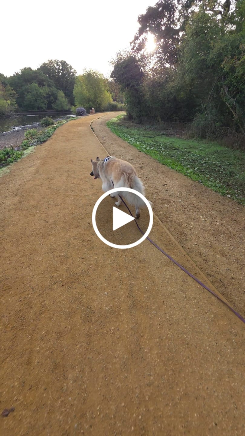Customer video review of Tidal Waterproof Longline
