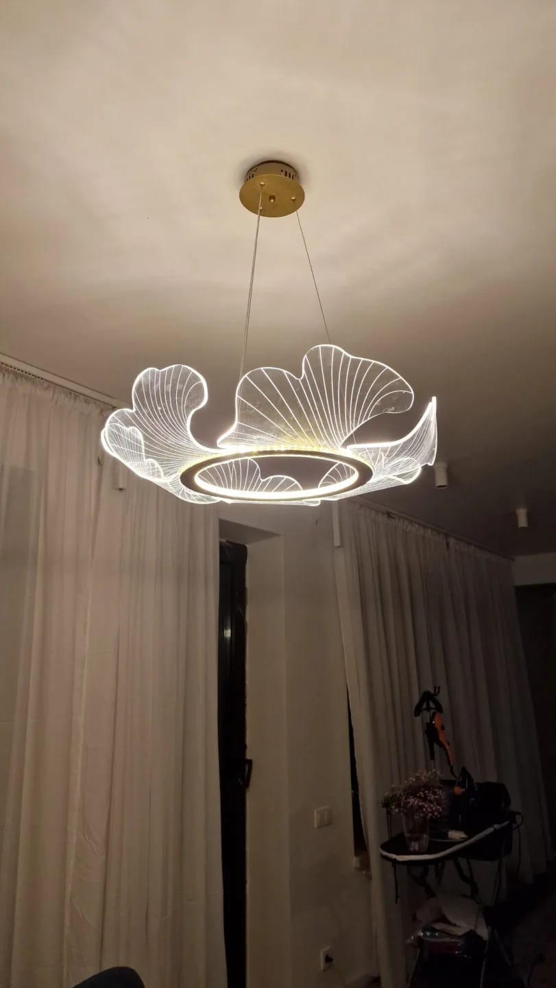Customer photo review of Gold Chandelier, Iron Frame, Transparent Acrylic Shades