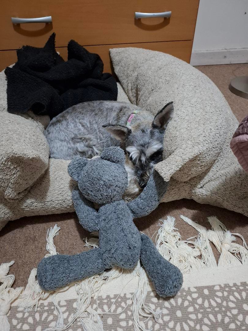 Customer photo review of Cama Yoko Arena
