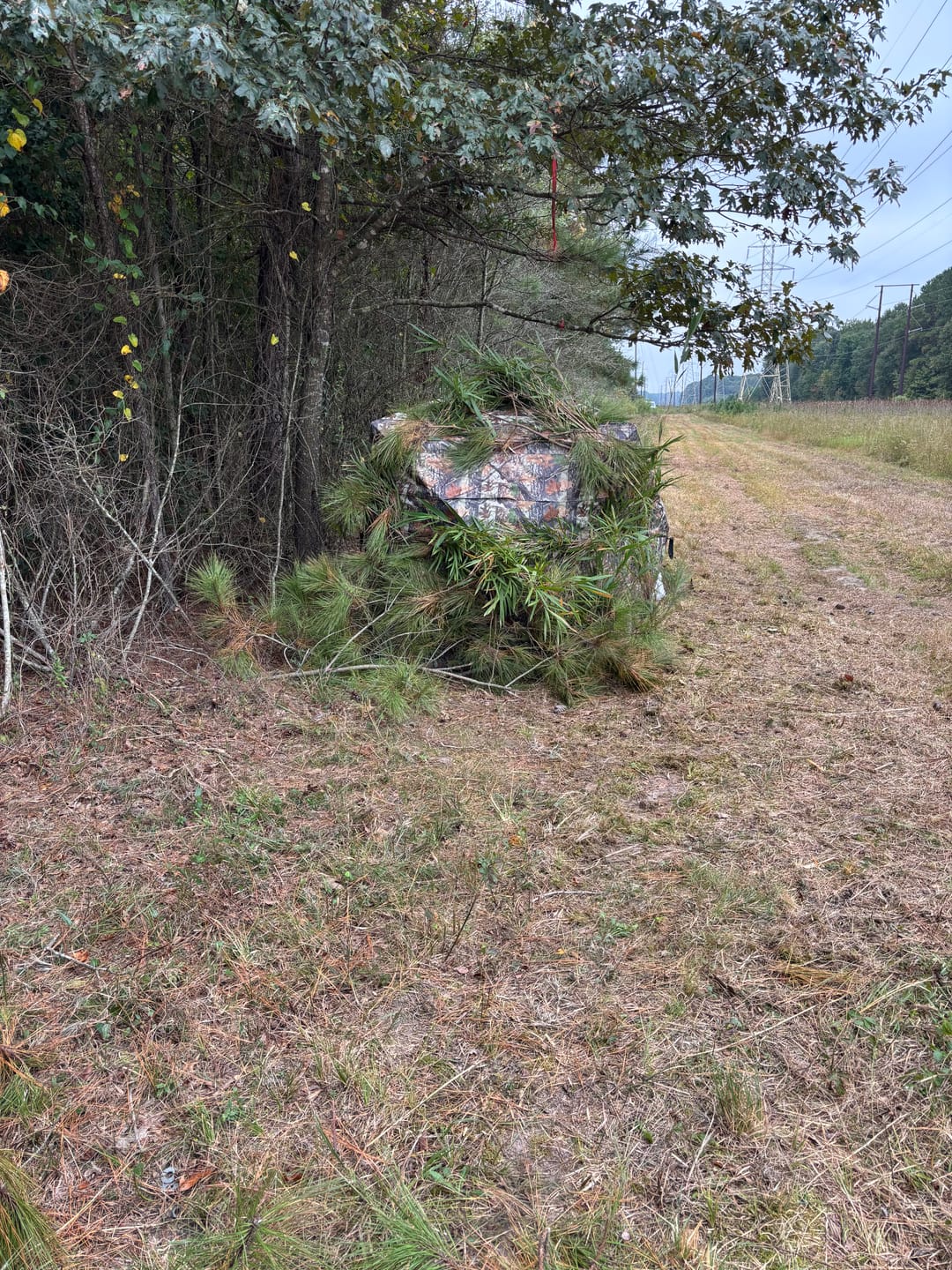 Customer photo review of VisX/VisMax See Through Hunting Blind, Pop Up Ground Deer Blind