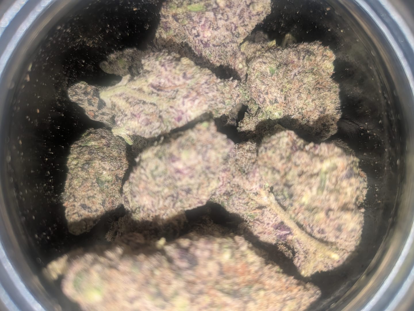 Customer photo review of Purple Hindu Indoor - Bulk - Indica