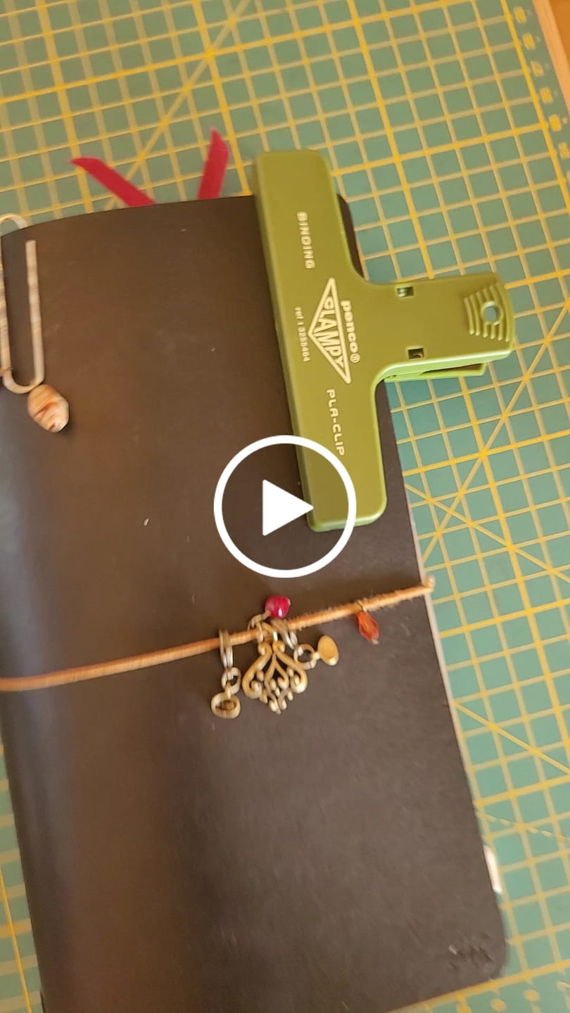 Customer video review of Hightide Penco Clampy PlaClip