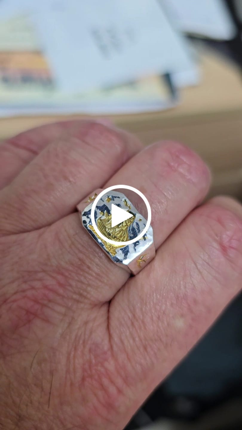 Customer video review of Silver & Gold Ring - VOYAGER