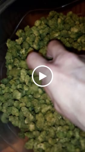 Customer video review of Glue Train (Light-Assisted Smalls) – Bulk THCA Flower 1 lb