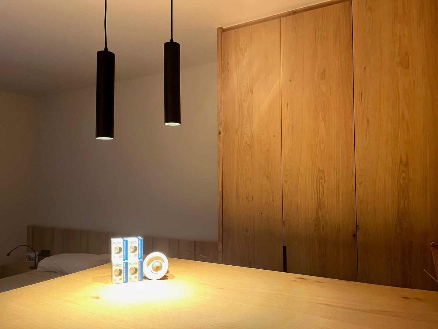 Customer photo review of Full Spectrum LED Spot Dimmable | 60°  CRI97 2850K 24V 8W