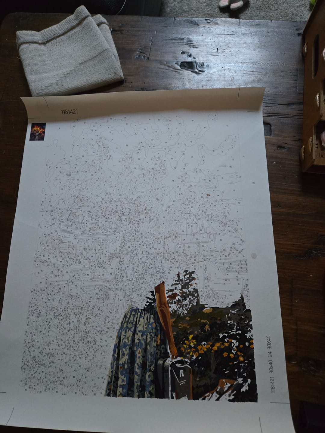 Customer photo review of Woman Watching House Fire (Paint by Numbers)