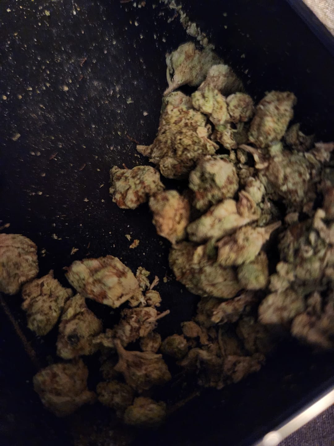 Customer photo review of White Gelato - 28 Grams - Indica