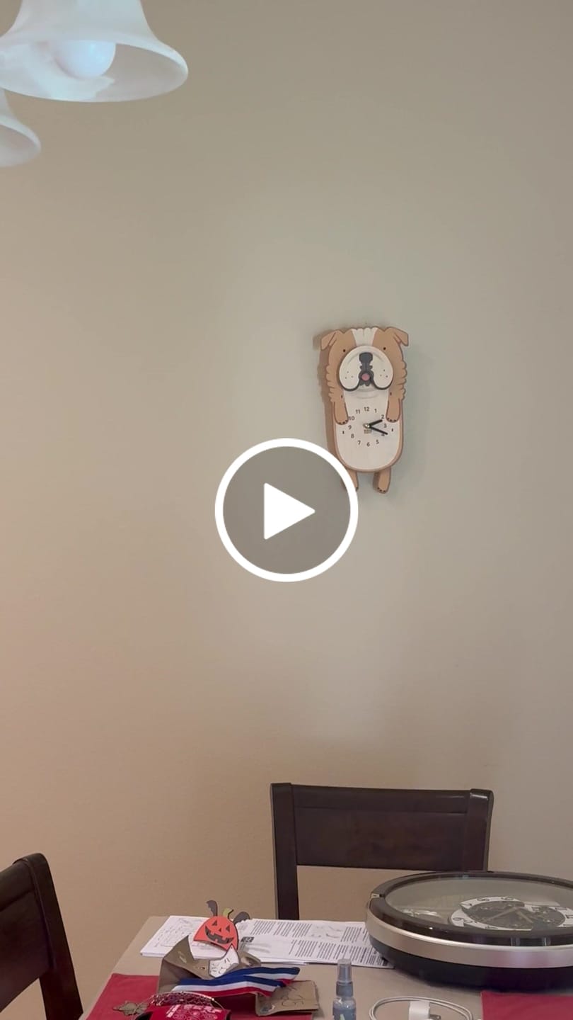 Customer video review of Rosie the Bulldog Pendulum Clock
