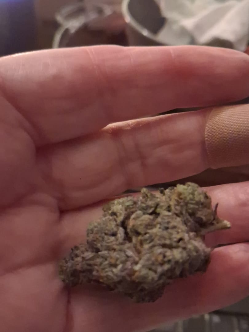 Customer photo review of Lemon Cherry Gelato  THCA Flower (Exotic)