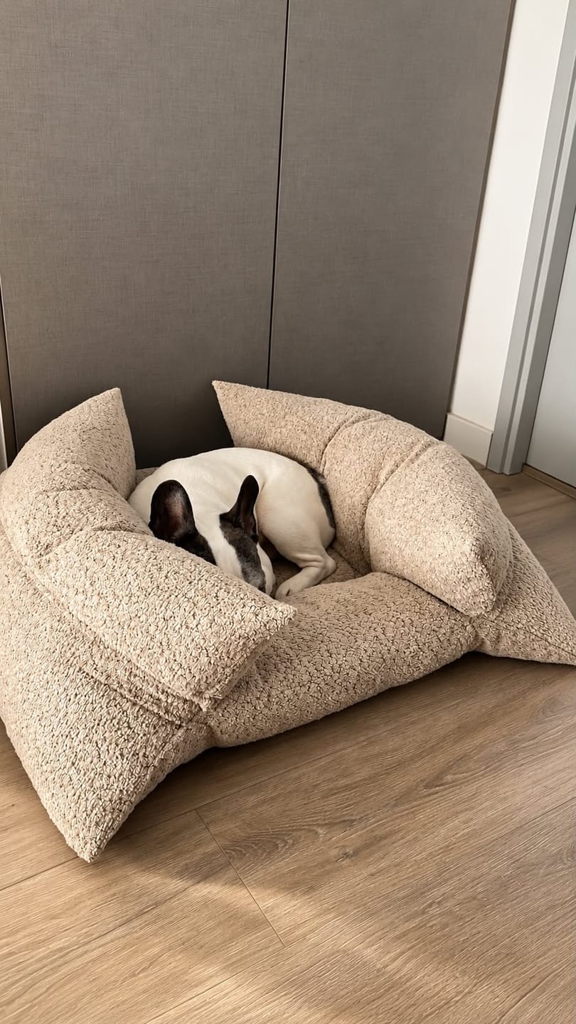Customer photo review of Cama Yoko Arena