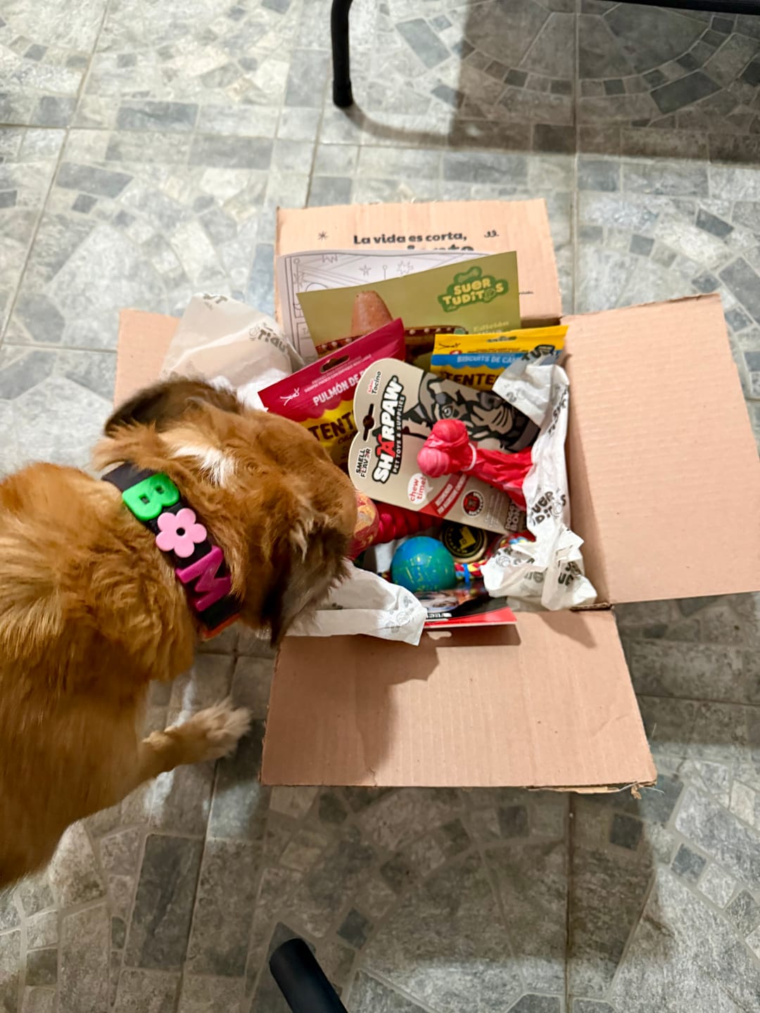 Customer photo review of Suertuditos BOX