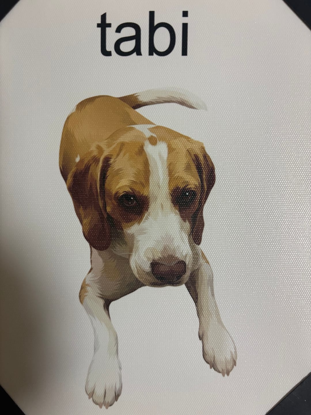 Customer photo review of Petcanva©オーダーメイド ペット似顔絵【3点セット】