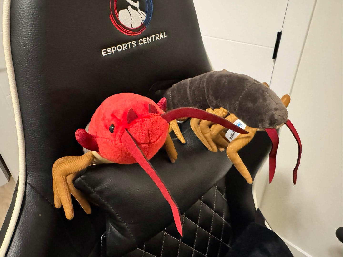 Customer photo review of Chinese Red-Headed Centipede Stuffed Plush Toy