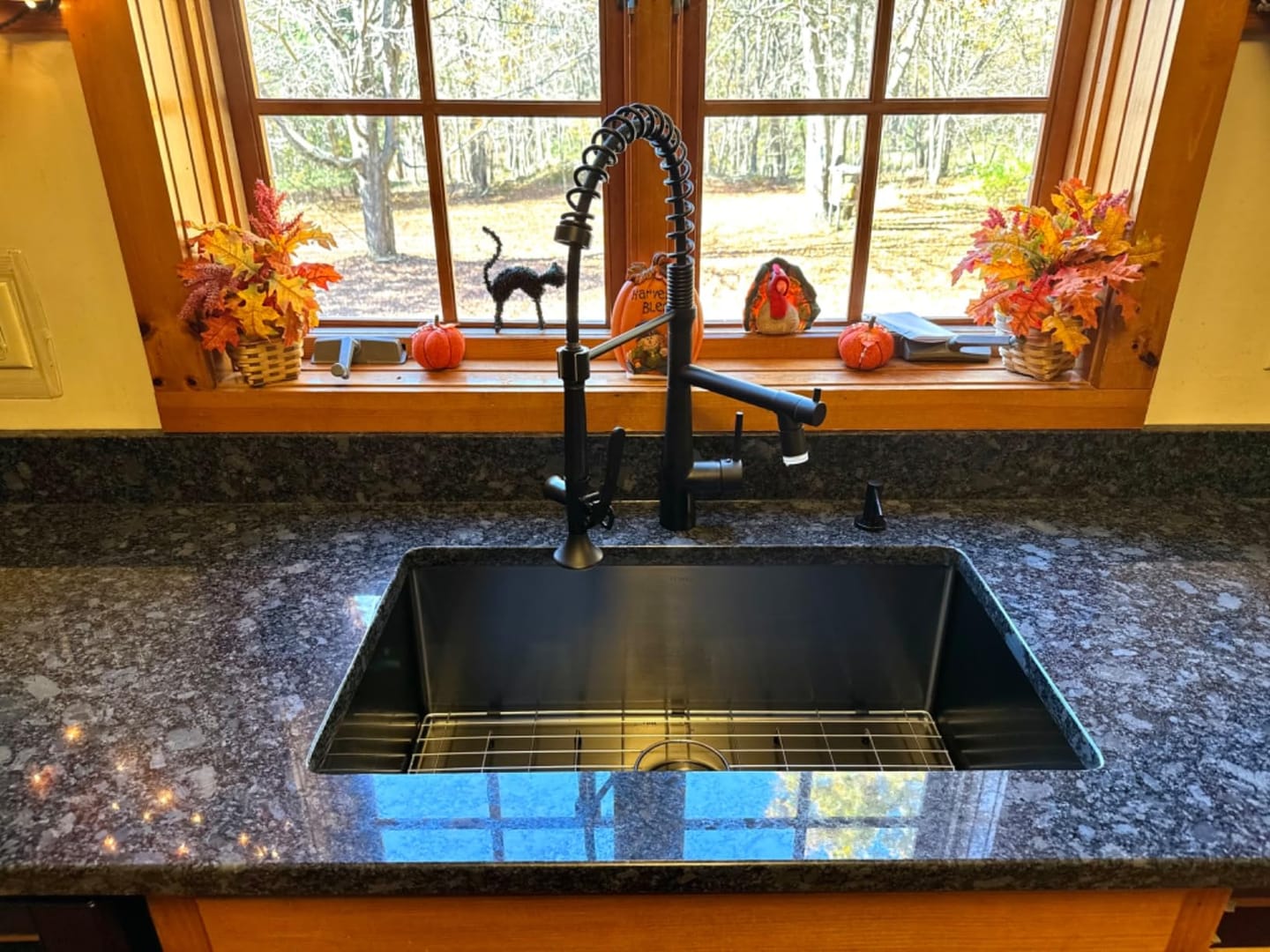 Customer photo review of Skagerrak - Commercial-Style Pull-Down Kitchen Sink Faucet with LED Cone-Shaped Sprayer