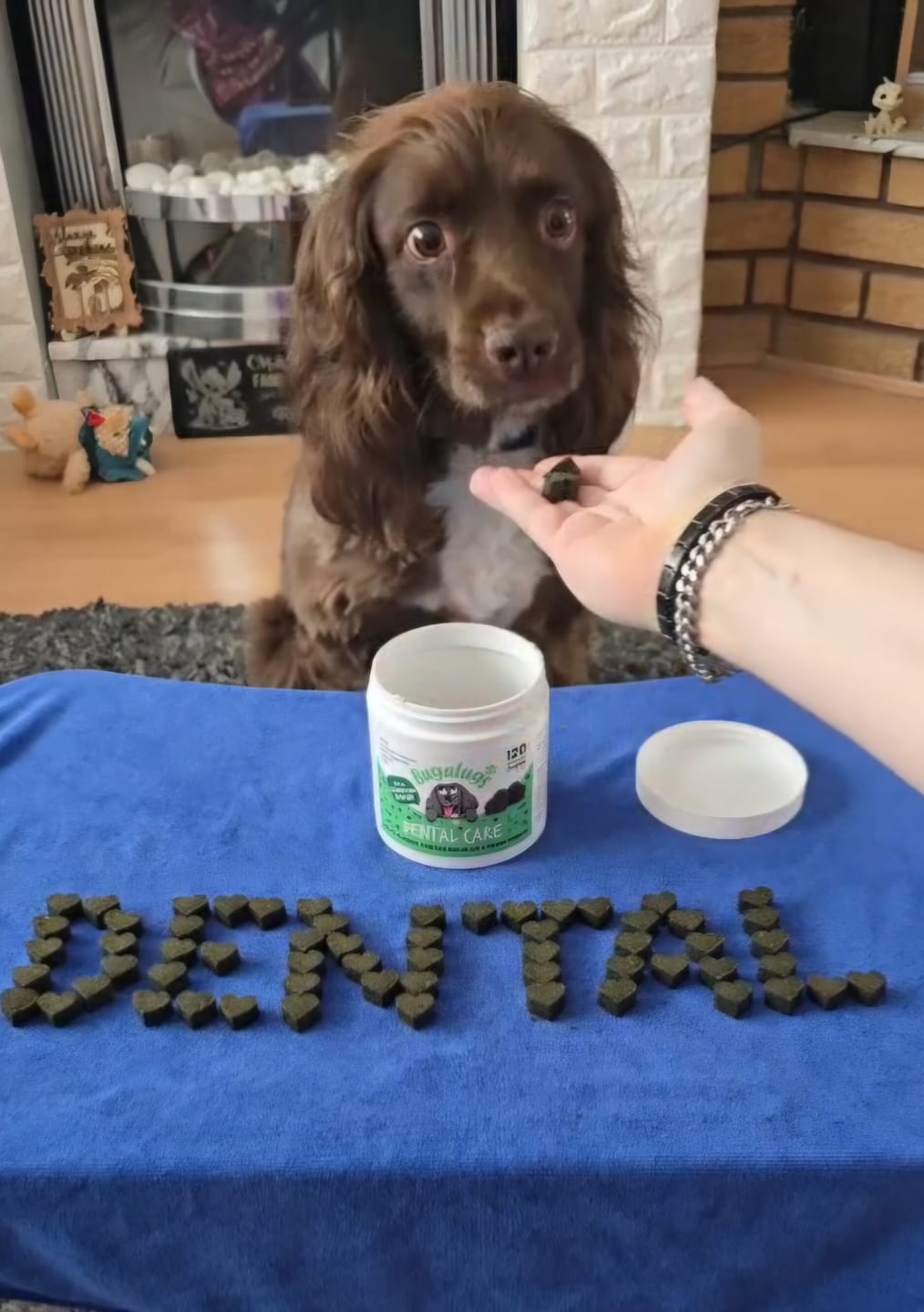 Customer photo review of Dental Care Supplement Chews for Dogs