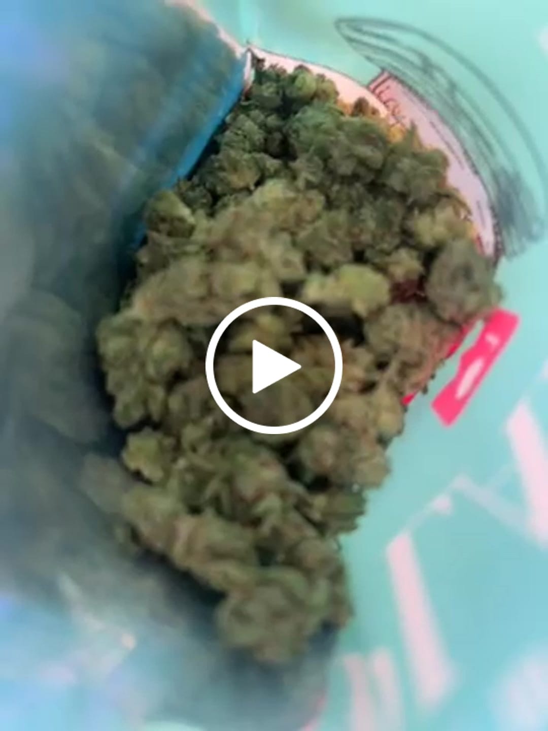 Customer video review of 1 Oz Cheap THCA Small Buds