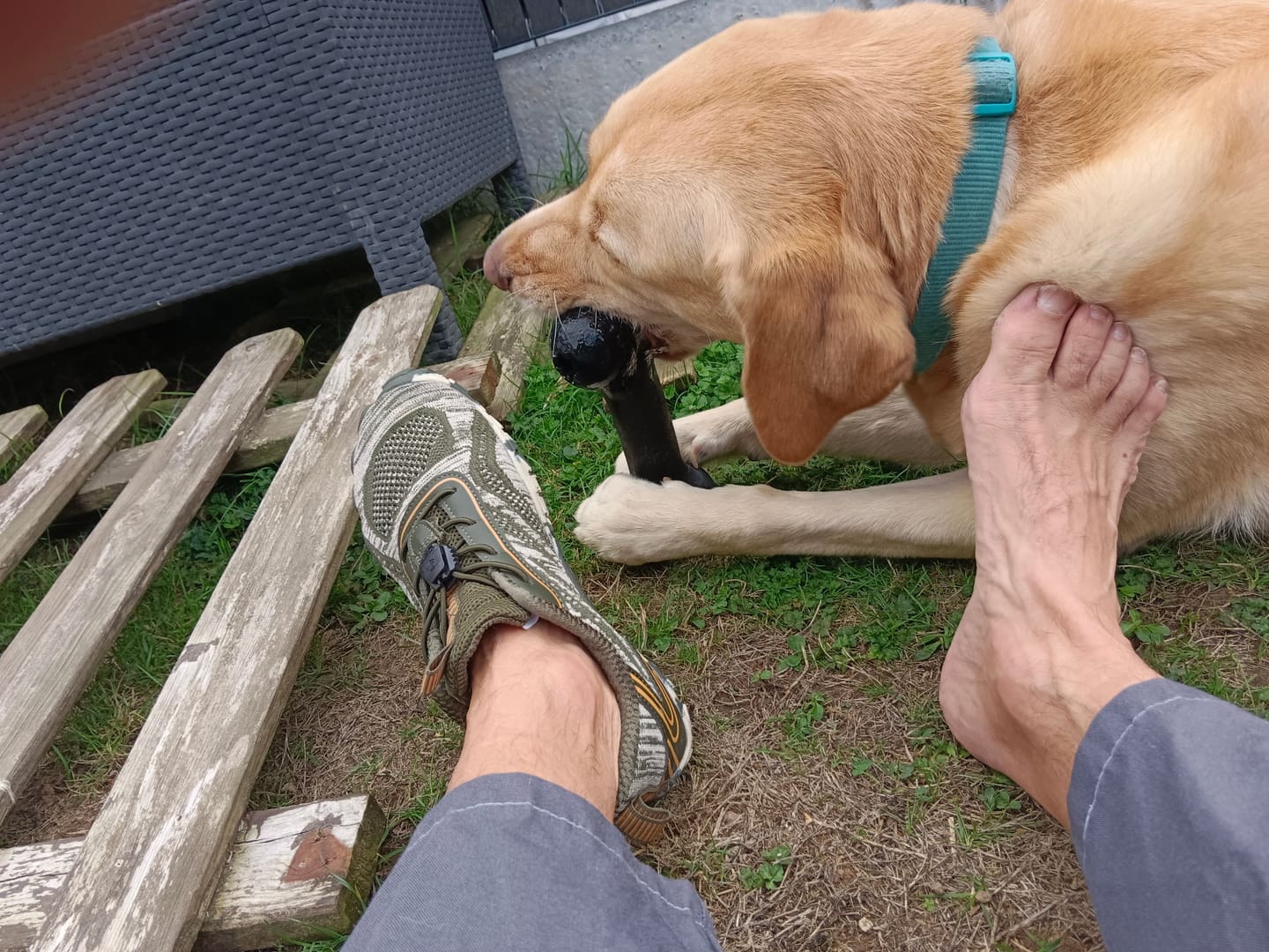 Customer photo review of Active II Pro - Barefoot Chaussures