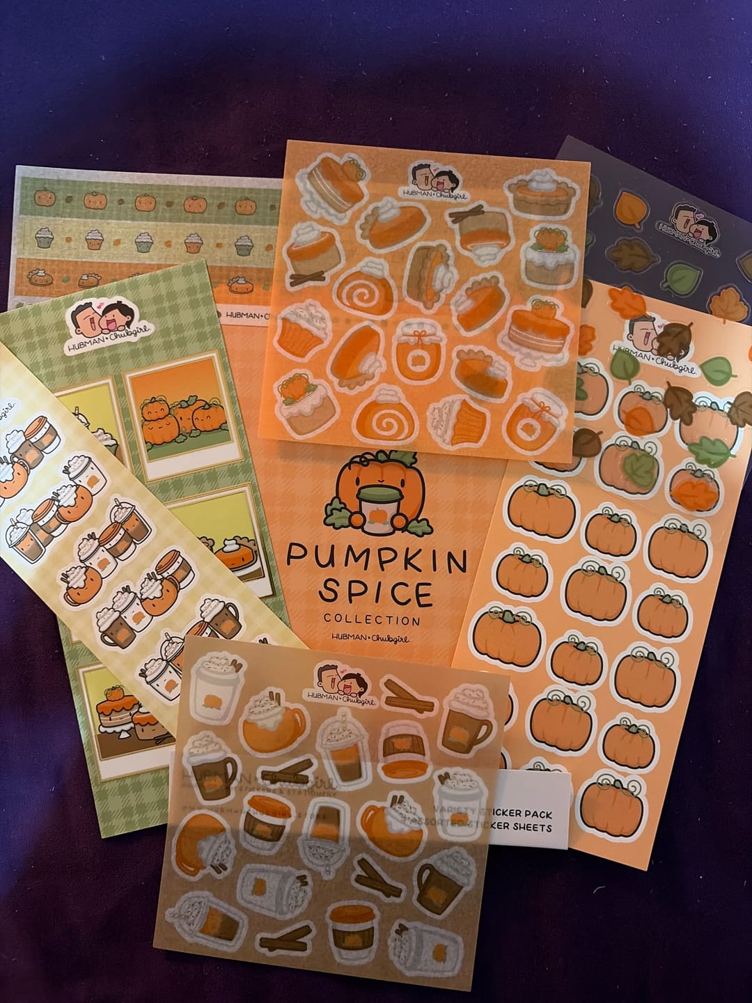 Customer photo review of Pumpkin Spice Variety Sticker Pack