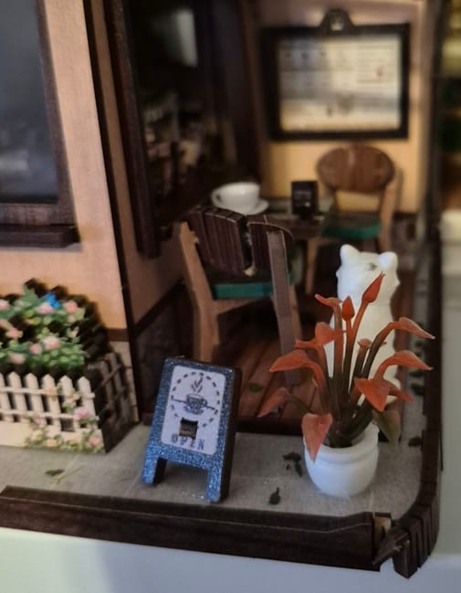 Customer photo review of Urban Jungle Miniature Tropical Plant Set (6-Piece)