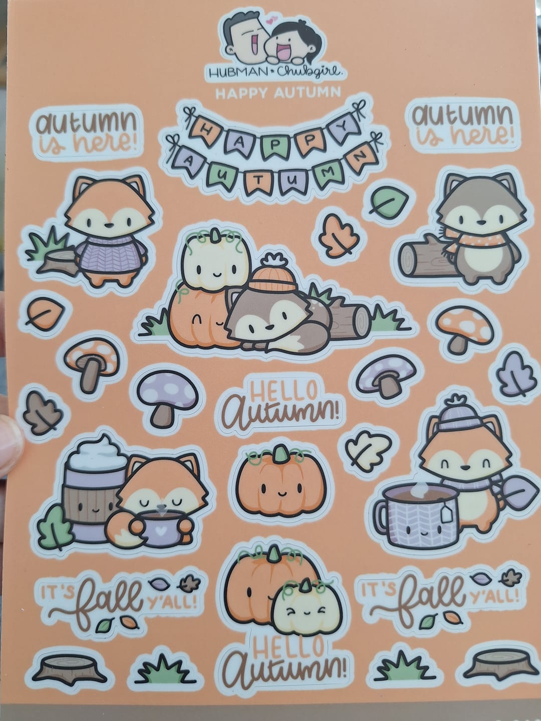 Customer photo review of Happy Autumn Sticker Sheet