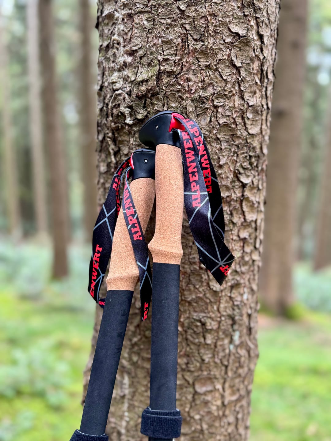 Customer photo review of Wanderstöcke Rugova Pro 3 faltbar & höhenverstellbar – Leicht & stabil