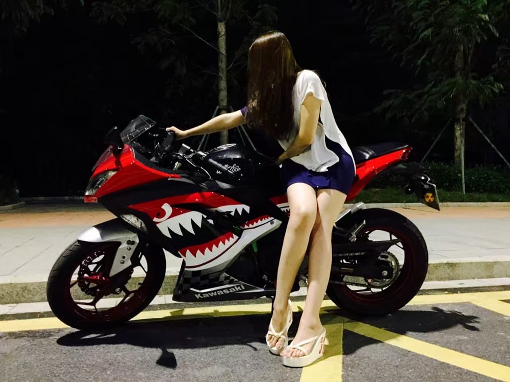 Customer photo review of Ninja 300 2013 - 2017 Shark Fairing